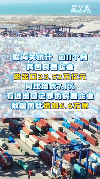 配资炒股入门知识 这份外贸成绩单中，民企成为“主力军”
